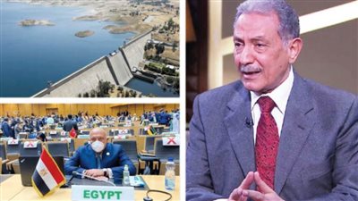 نائب رئيس المجلس المصرى للشئون الإفريقية لـ«روزاليوسف»: سد النهضة ومكافحة الإرهاب أولويات الرئاسة السنغالية للاتحاد الإفريقى