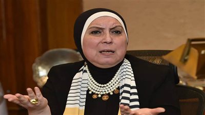 نيفين جامع: نحتاج المزيد من التعاون والتنسيق من أجل دعم العمل العربي المشترك