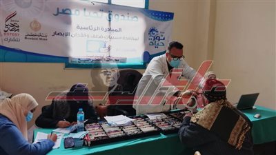 صندوق تحيا مصر: المبادرة الرئاسية 