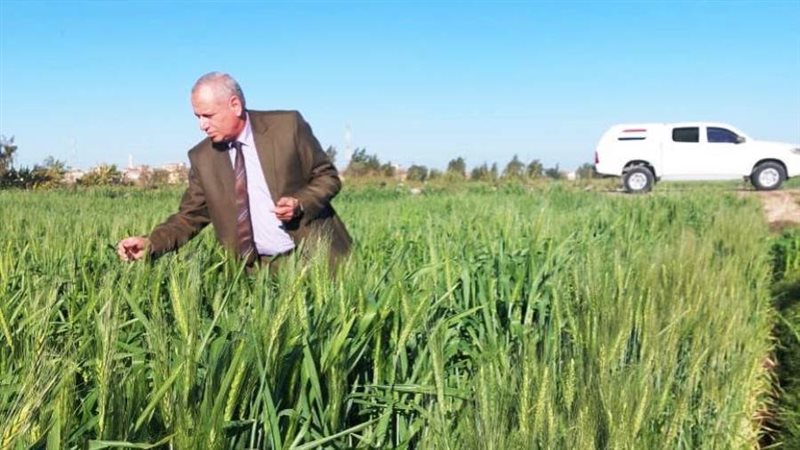 وكيل زراعة البحيرة: