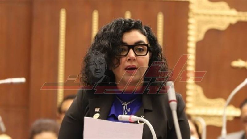 ريهام عفيفي