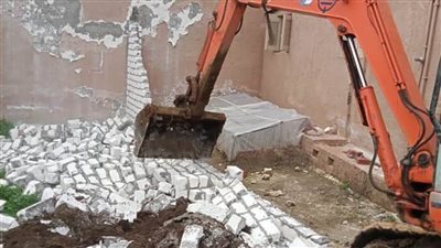 إزالة 63 حالة تعدٍ على الأراضي الزراعية والمجاري المائية بالبحيرة 