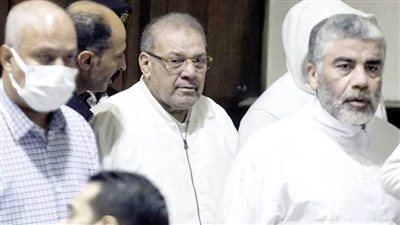 تعرف على أقوال شهود النفي وطلبات الدفاع في قضية الآثار الكبرى 