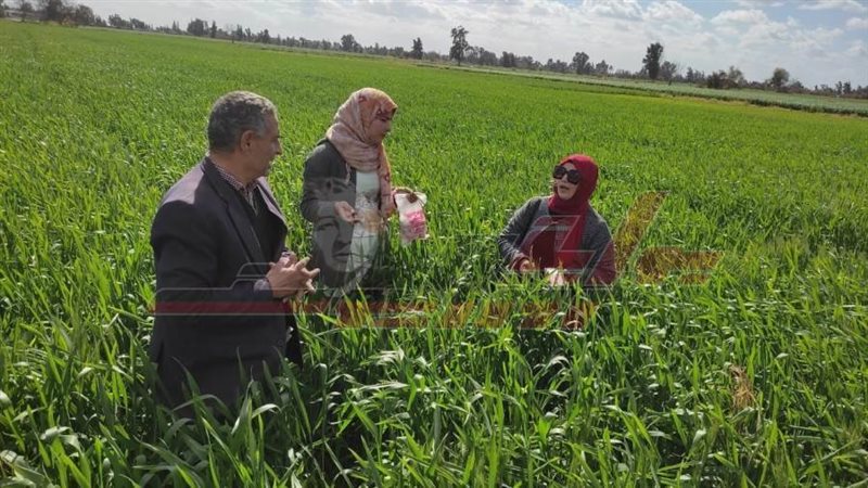 الحقول الزراعية