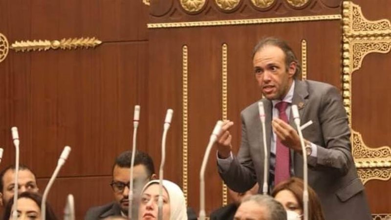 النائب محمد فريد