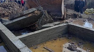 إزالة 47 حالة تعدٍ على الأراضي الزراعية والمجاري بالبحيرة