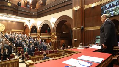 مجلس الشيوخ يوافق على الموازنة العامة للمجلس عن السنة المالية 2020 /2021