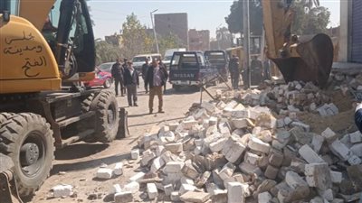  إزالة 44 حالة تعد على أراضي أملاك دولة بـ