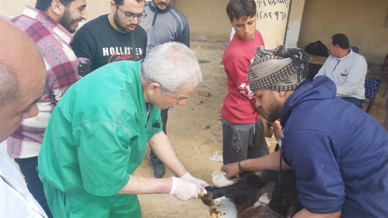 بوابة روز اليوسف