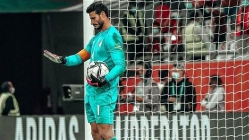 محمد الشناوي أرشيفية