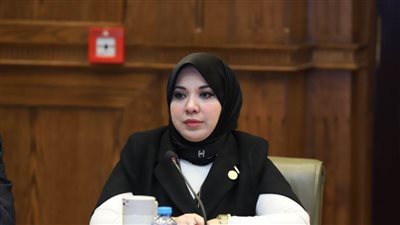 برلمانية: الدولة المصرية تعمل على تطبيق الاستراتيجية الوطنية لحقوق الإنسان