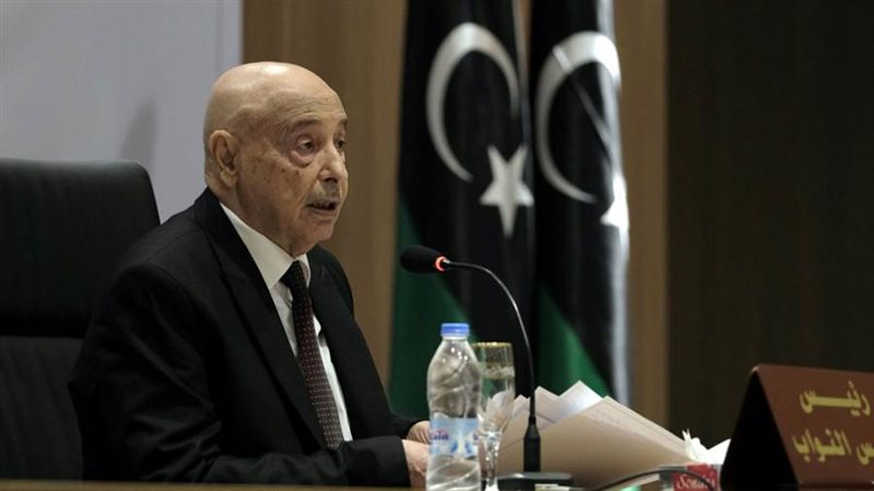 المستشار عقيلة صالح