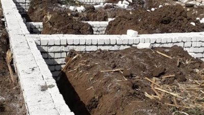 الموجة 19.. مراكز المنيا تزيل 49 حالة تعد على الأراضي الزراعية وأملاك الدولة