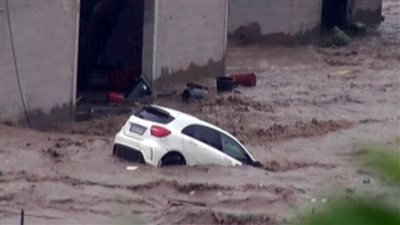 بولندا: ارتفاع حصيلة ضحايا الرياح الشديدة إلى 6 قتلى ومصابين