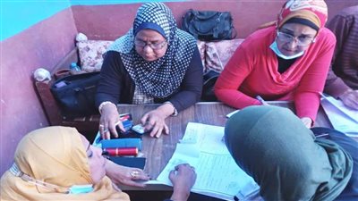 تنظيم 6 جلسات توعية ضمن مبادرة تنمية الأسرة المصرية بقرى 