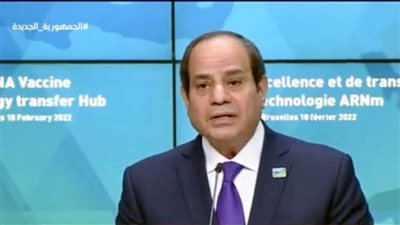 الرئيس السيسي يدعو الشركاء الدوليين إلى تعزيز الجهود المبذولة لدعم الدول الإفريقية