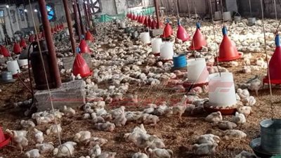 ياسين يشرح لـ 