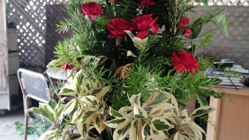 زراعة المنازل