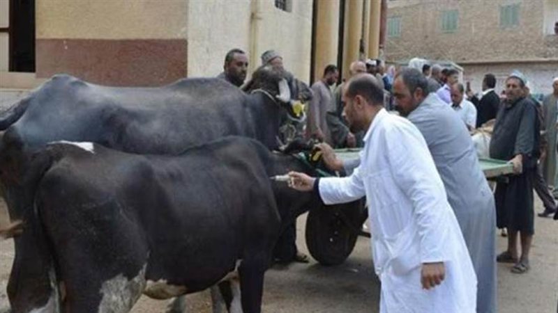 تحصين الماشية