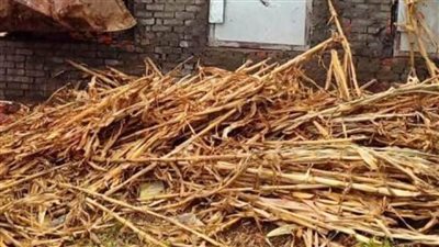 استمرار لجان رصد المتعدِّين بالبناء المخالف على الأراضي الزراعية بالشرقية 