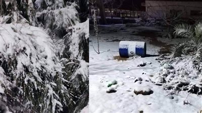 شاهد .. الثلوج غطت الشجر والحجر في سانت كاترين