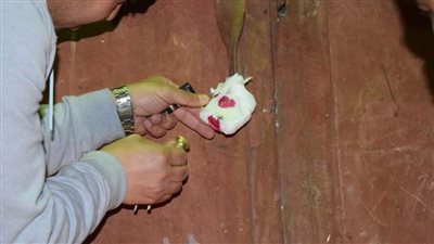 صحة المنيا.. المرور على 2147 منشأة طبية خاصة وتحرير 37 محضر مخالفة