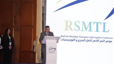 أسامة ربيع: أحد مهندسي الهيئة كان صاحب فكرة حل أزمة جنوح إيفر جيفن