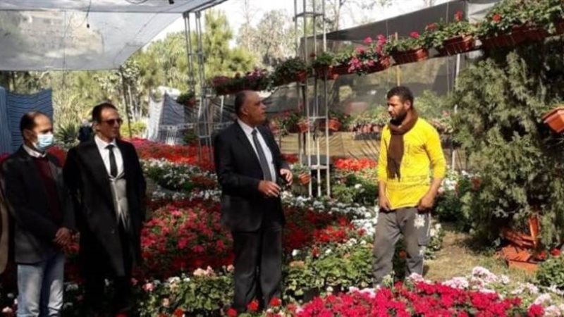 معرض زهور الربيع