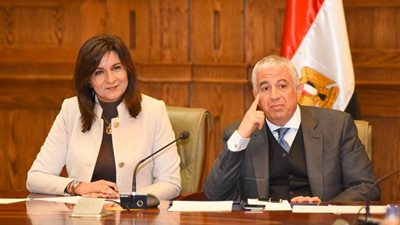 وزيرة الهجرة أمام النواب: المؤسسات الدولية أشادت بنجاح مصر في التعامل مع الهجرة غير الشرعية