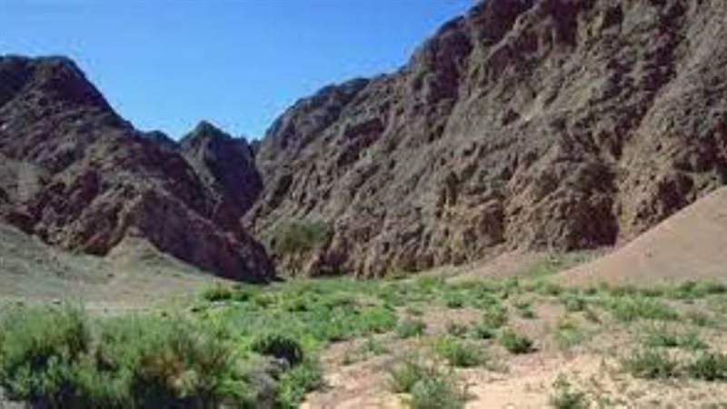 محمية قبة الحسنة