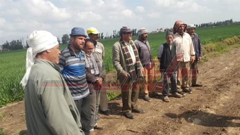 خلال الندوة