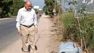 زراعة 4550 شجرة بالمراغة ضمن فعاليات مبادرة 