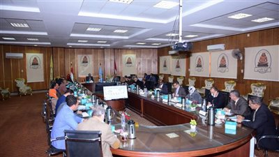 مجلس جامعة سوهاج يعتمد برنامج العلوم المالية والتجارية للدراسة بالتعليم المدمج