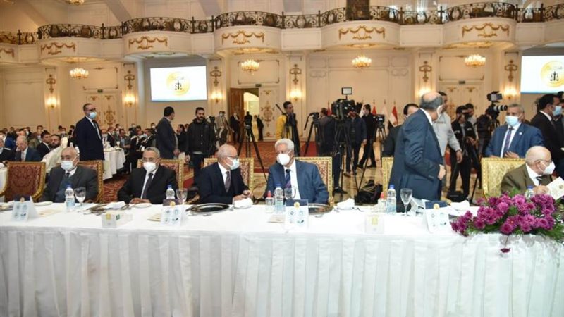 مجلس الدولة