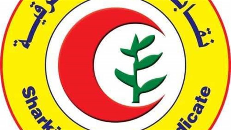 انتخابات نقابة أطباء