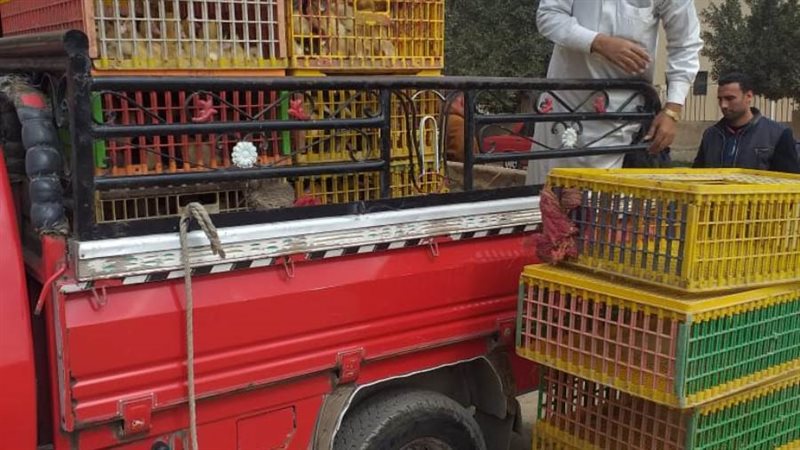 مشروع توزيع الطيور