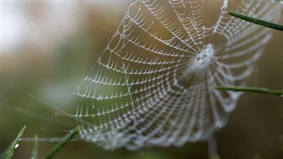 ابتكار علاج للجروح من 