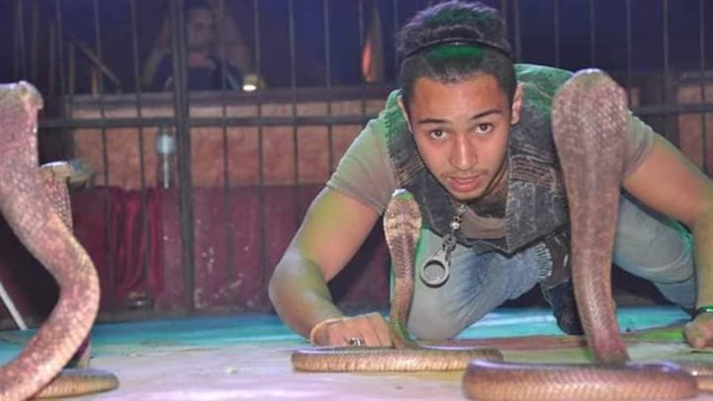 بوابة روز اليوسف