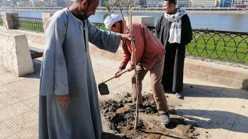 فاعليات المبادرة