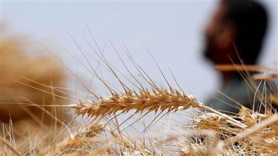 الإيكونوميست: 4 دول عربية قد تواجه أزمة 