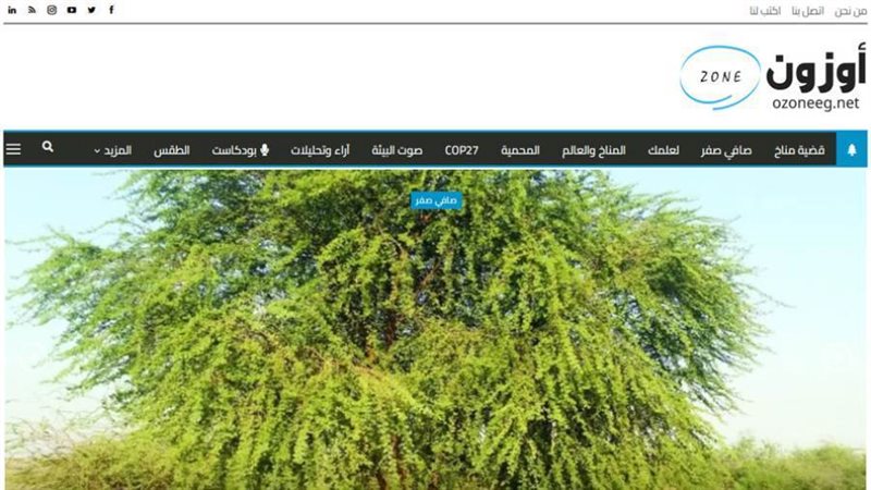 بوابة روز اليوسف