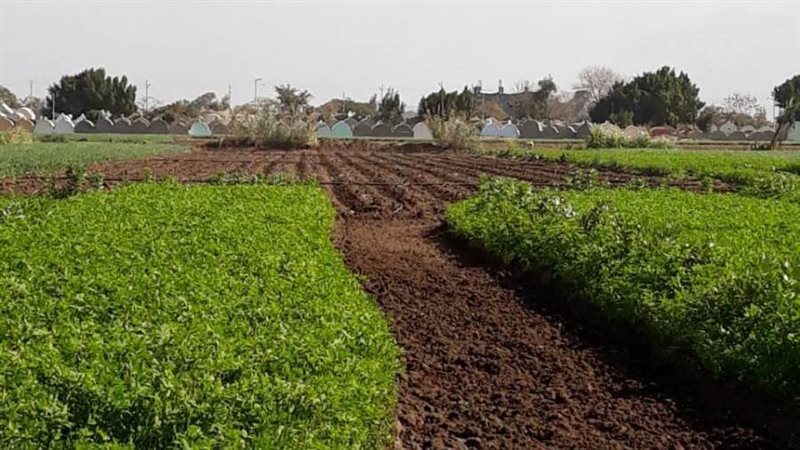 مشروعات أنظمة الري