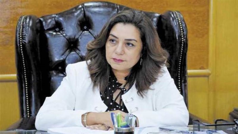 محافظ دمياط