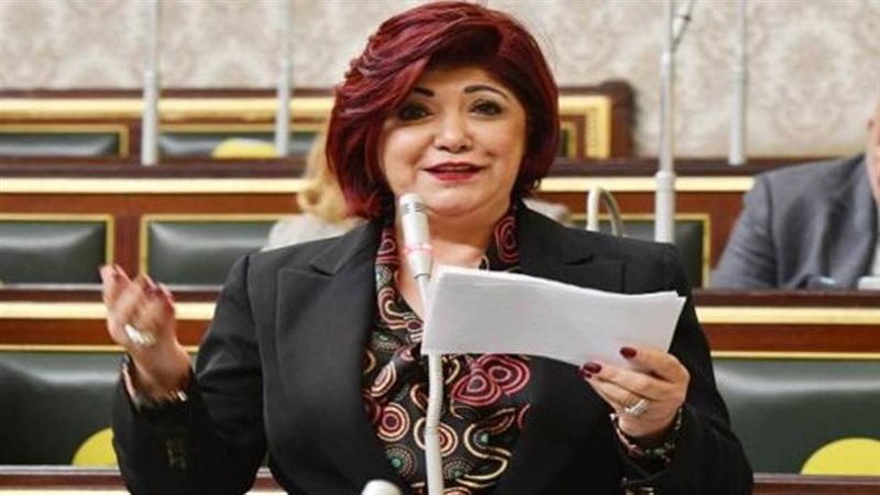 النائبة نورا علي