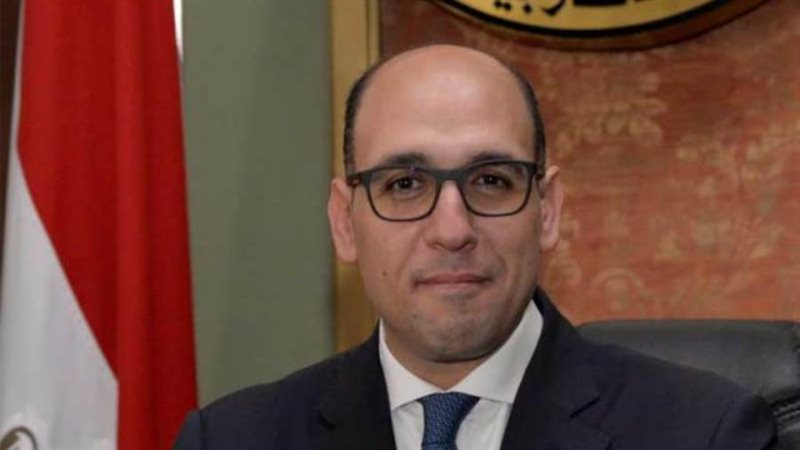 السفير احمد حافظ