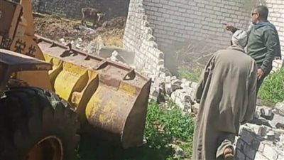 إزالة 42 حالة تعدٍ على الأراضي الزراعية في حملة بالبحيرة