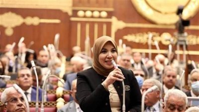 النائبة دينا هلالي تطالب بتضافر جهود مؤسسات الدولة وزيادة التوعية بمخاطر الإدمان