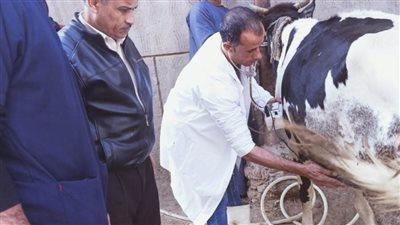 محافظ أسيوط: قافلة بيطرية مجانية ببني محمد تنفيذاً لخطة القوافل البيطرية بالقرى