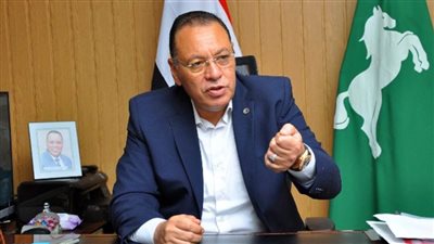 محافظ الشرقية يؤكد عدم وجود تصدعات في كوبري 