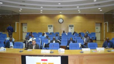 27 متدربا من 13 دولة إفريقية يشاركون في دورة بمعهد القطن